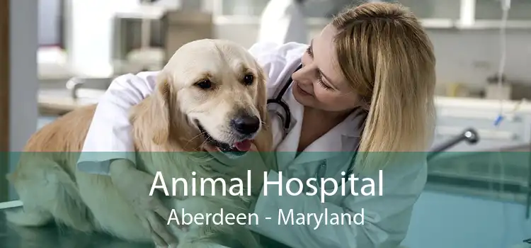 Animal Hospital Aberdeen - Maryland