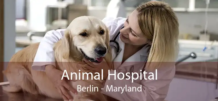 Animal Hospital Berlin - Maryland