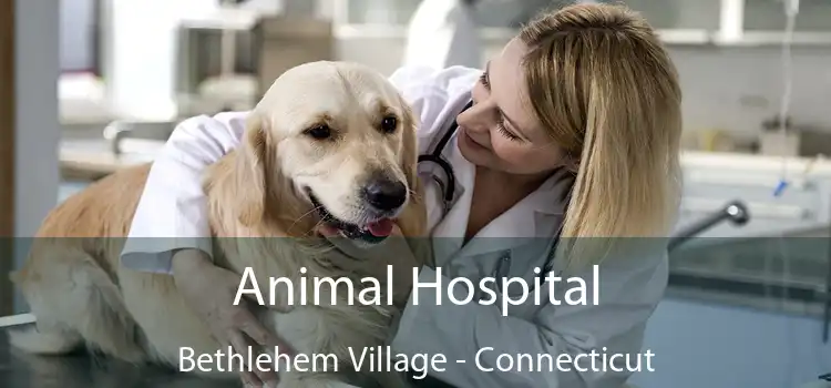 Animal Hospital Bethlehem Village - Connecticut