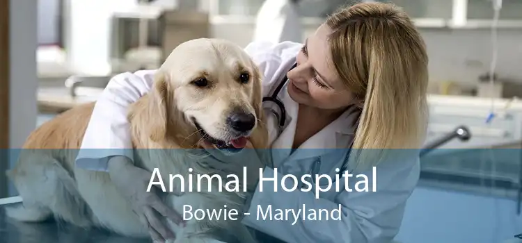 Animal Hospital Bowie - Maryland