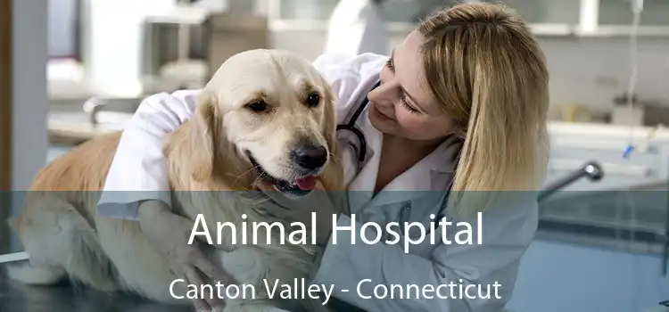 Animal Hospital Canton Valley - Connecticut