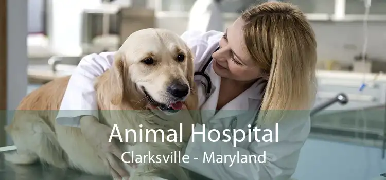Animal Hospital Clarksville - Maryland