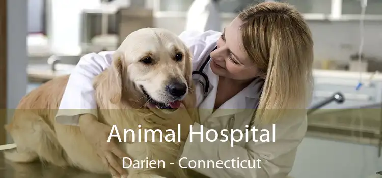 Animal Hospital Darien - Connecticut