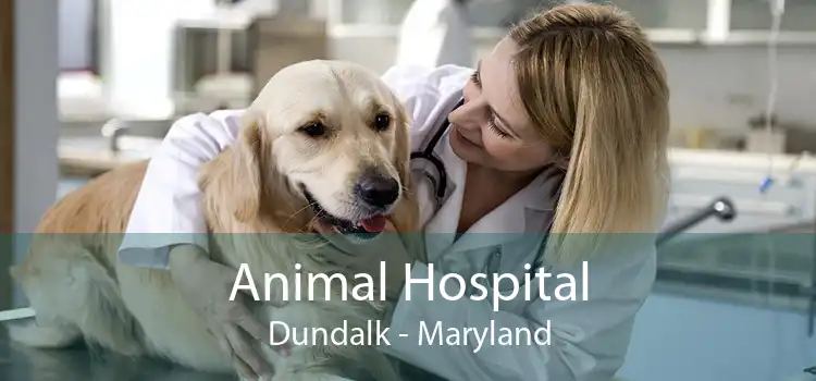 Animal Hospital Dundalk - Maryland