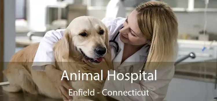 Animal Hospital Enfield - Connecticut