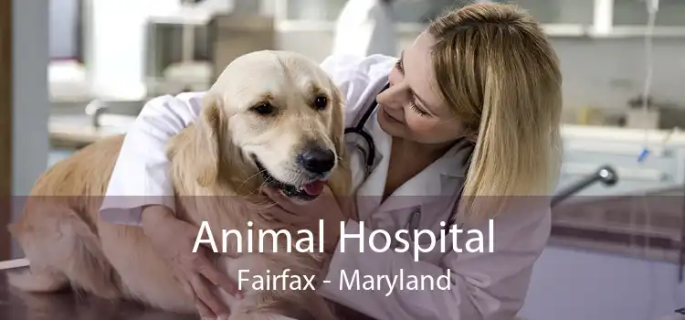 Animal Hospital Fairfax - Maryland