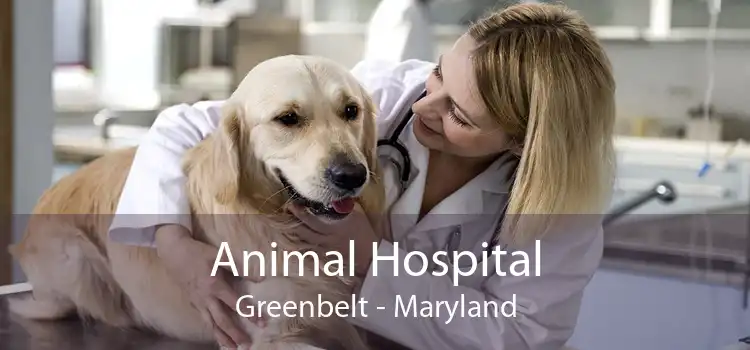 Animal Hospital Greenbelt - Maryland