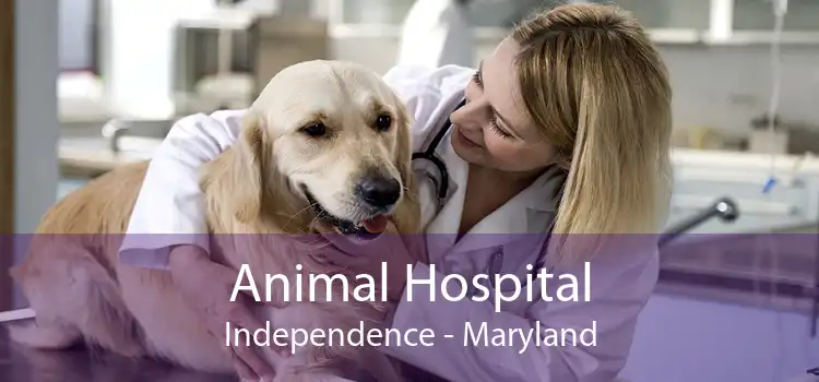 Animal Hospital Independence - Maryland