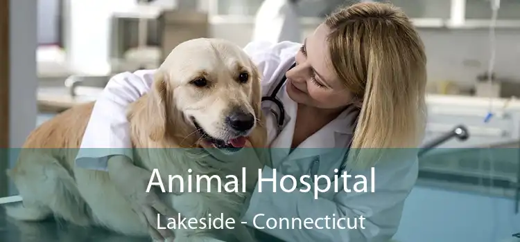 Animal Hospital Lakeside - Connecticut