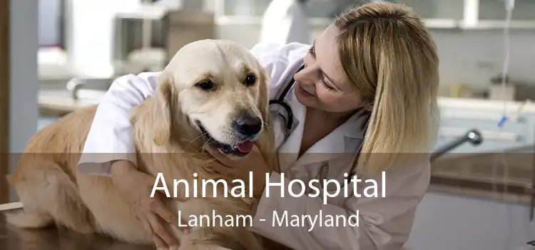 Animal Hospital Lanham - Maryland