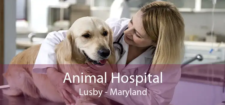 Animal Hospital Lusby - Maryland