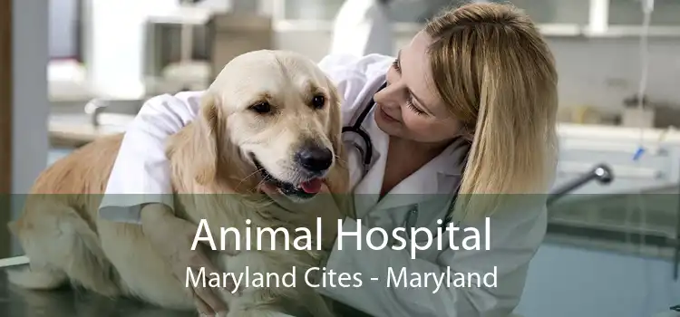 Animal Hospital Maryland Cites - Maryland