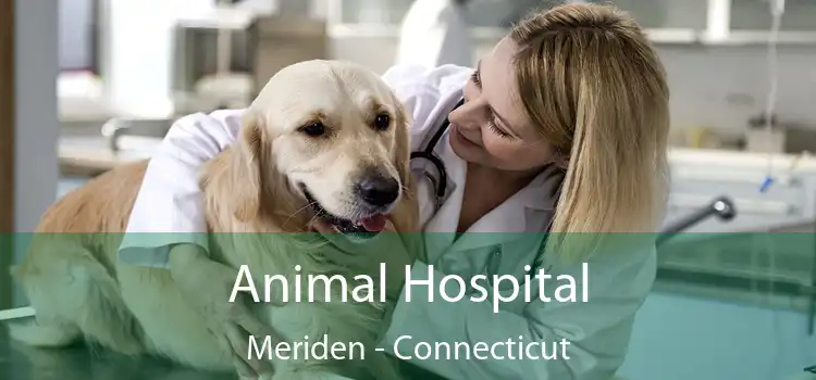 Animal Hospital Meriden - Connecticut