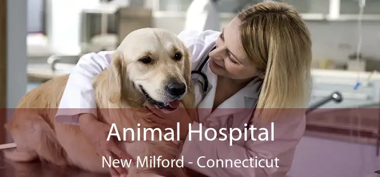 Animal Hospital New Milford - Connecticut