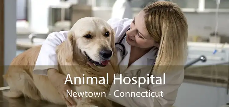 Animal Hospital Newtown - Connecticut