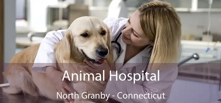 Animal Hospital North Granby - Connecticut