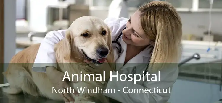 Animal Hospital North Windham - Connecticut
