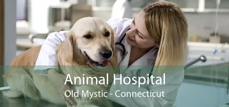 Animal Hospital Old Mystic - Connecticut