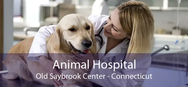 Animal Hospital Old Saybrook Center - Connecticut
