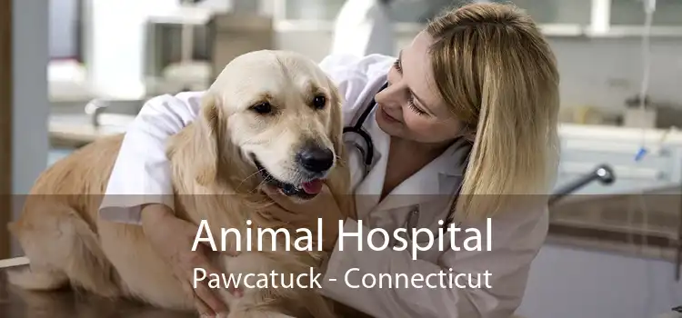 Animal Hospital Pawcatuck - Connecticut
