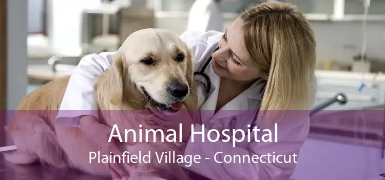 Animal Hospital Plainfield Village - Connecticut