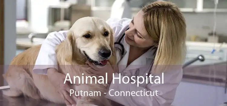 Animal Hospital Putnam - Connecticut