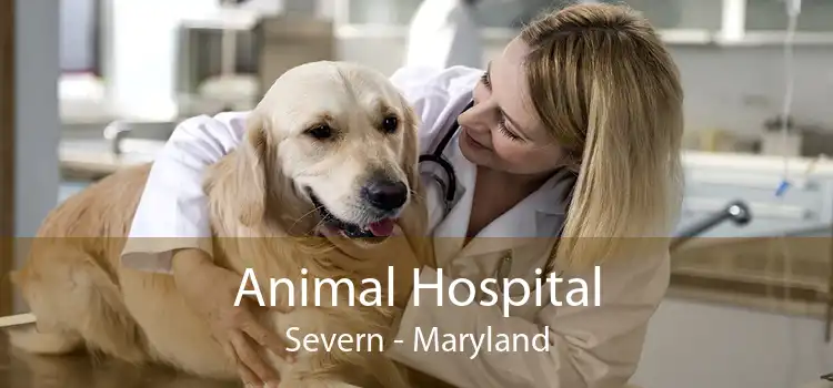 Animal Hospital Severn - Maryland