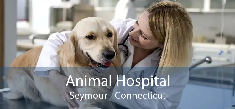 Animal Hospital Seymour Small Affordable And Emergency Animal