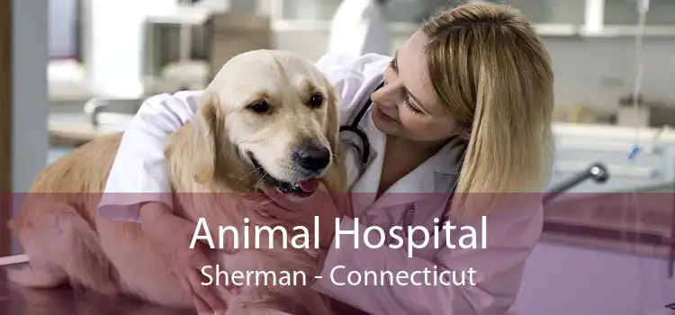 Animal Hospital Sherman - Connecticut