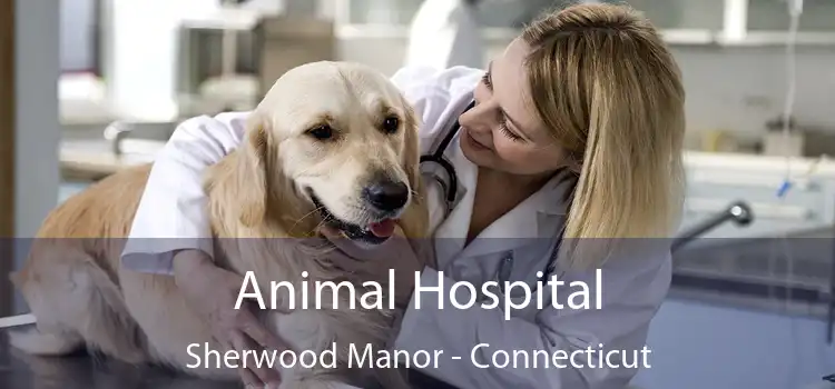 Animal Hospital Sherwood Manor - Connecticut