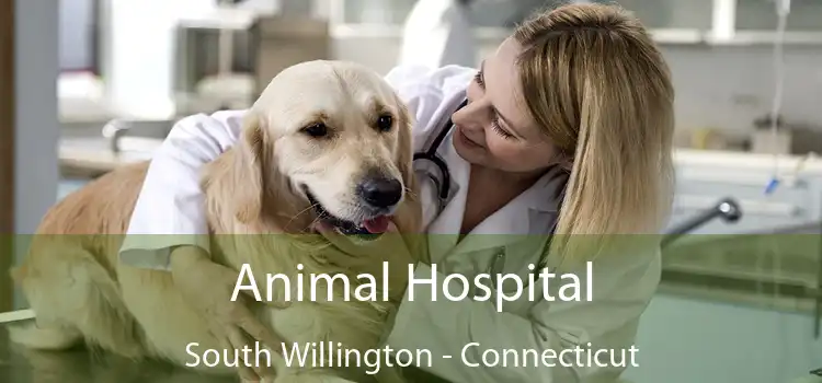 Animal Hospital South Willington - Connecticut