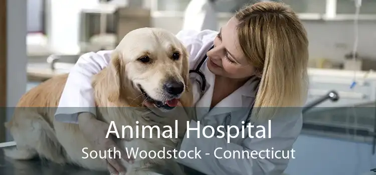 Animal Hospital South Woodstock - Connecticut
