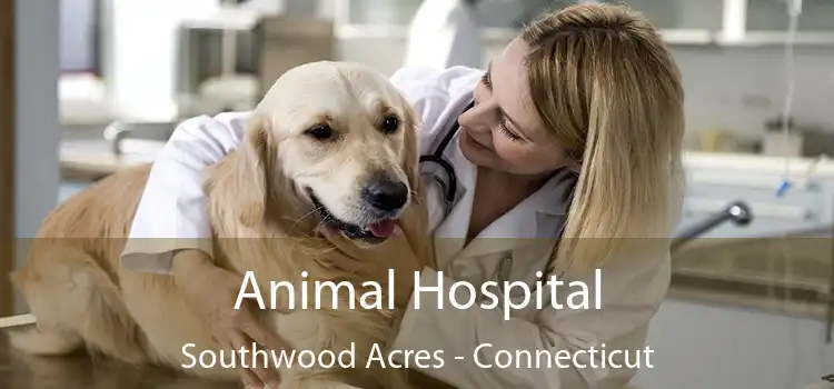 Animal Hospital Southwood Acres - Connecticut