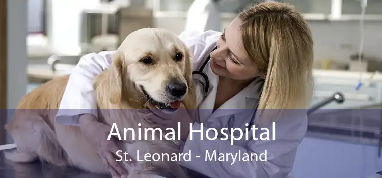 Animal Hospital St. Leonard - Maryland