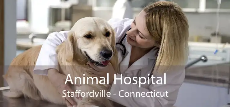 Animal Hospital Staffordville - Connecticut