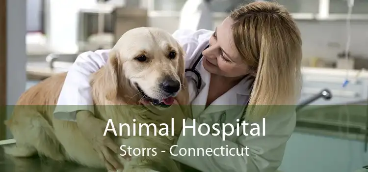 Animal Hospital Storrs - Connecticut