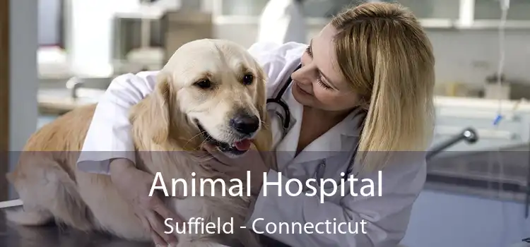 Animal Hospital Suffield - Connecticut