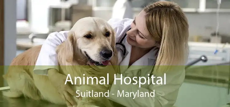 Animal Hospital Suitland - Maryland