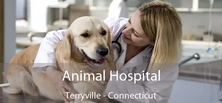 Animal Hospital Terryville - Connecticut