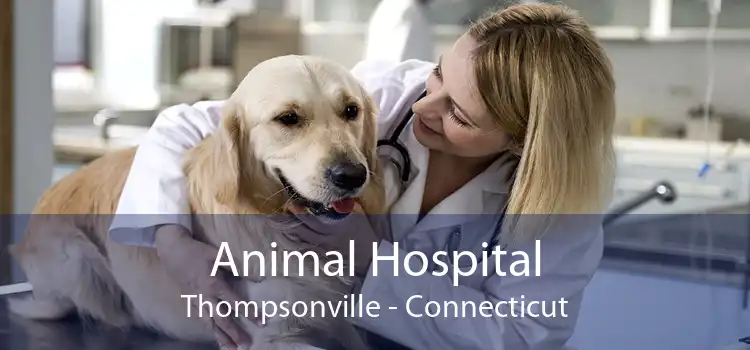 Animal Hospital Thompsonville - Connecticut
