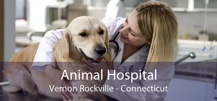 Animal Hospital Vernon Rockville - Connecticut