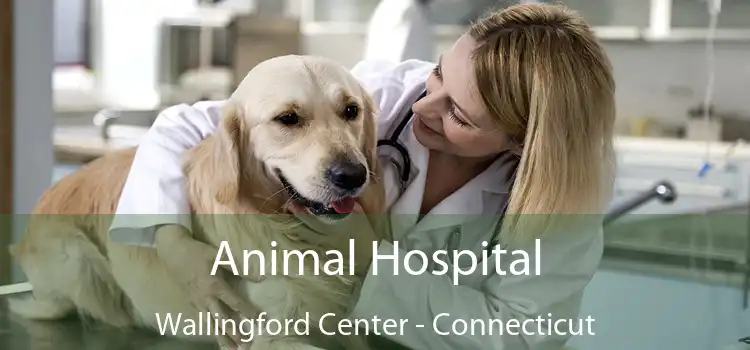 Animal Hospital Wallingford Center - Connecticut