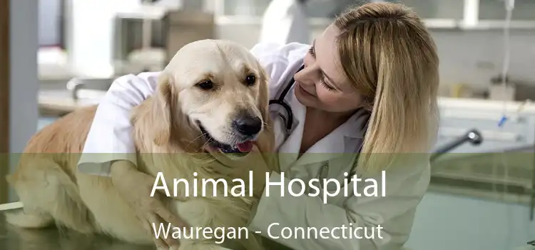 Animal Hospital Wauregan - Connecticut