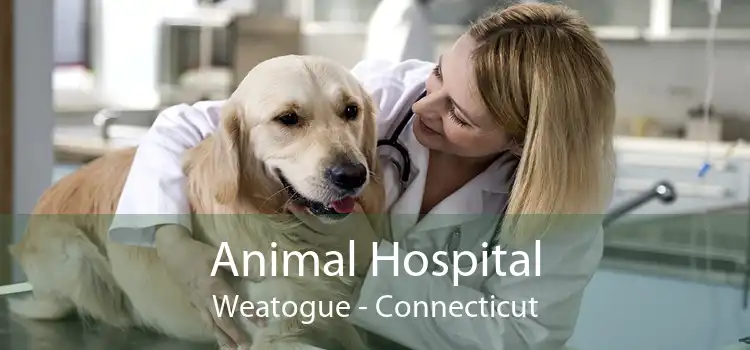 Animal Hospital Weatogue - Connecticut