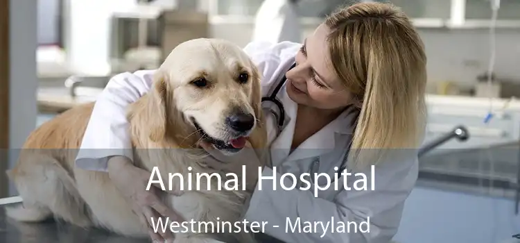 Animal Hospital Westminster - Maryland