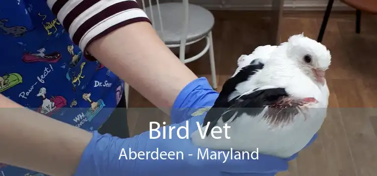 Bird Vet Aberdeen - Maryland