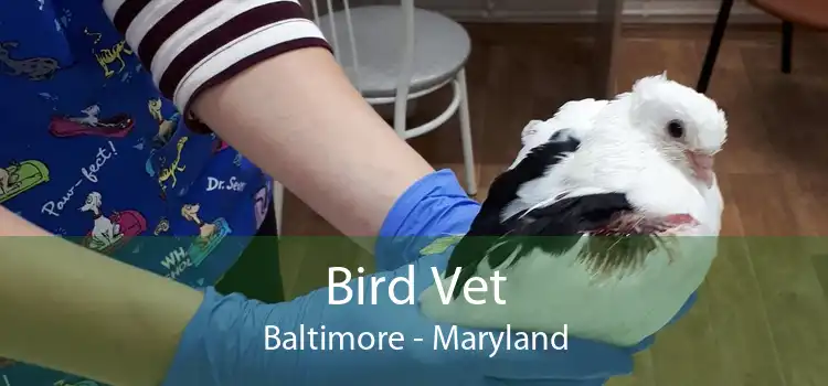 Bird Vet Baltimore - Maryland