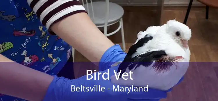 Bird Vet Beltsville - Maryland