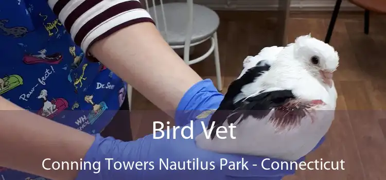 Bird Vet Conning Towers Nautilus Park - Connecticut