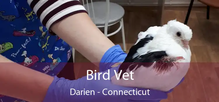 Bird Vet Darien - Connecticut